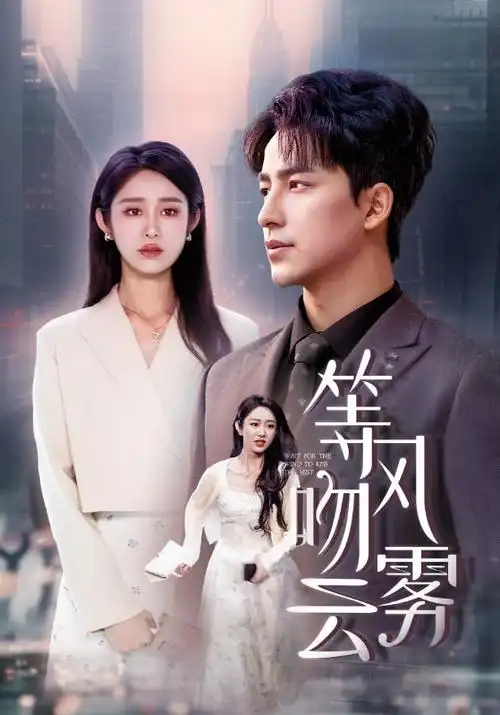 国产剧集长夜烽火在线观看